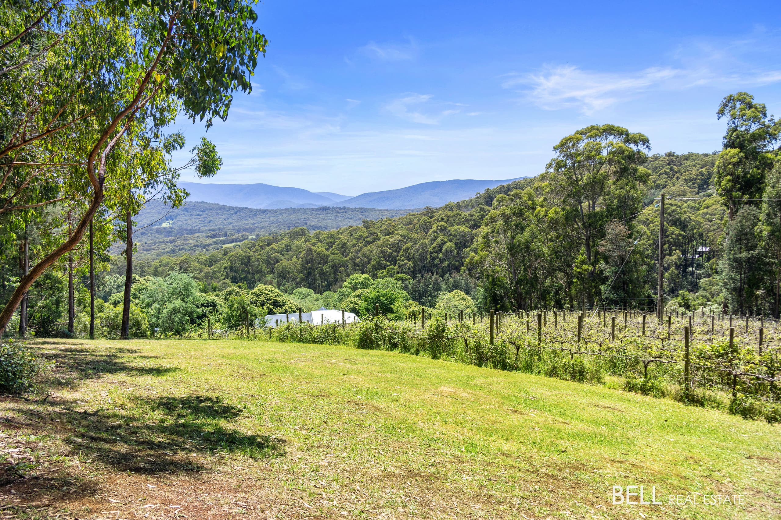 795 Gembrook-Launching Place Road, HODDLES CREEK, Hoddles Creek - Thumbnail 3