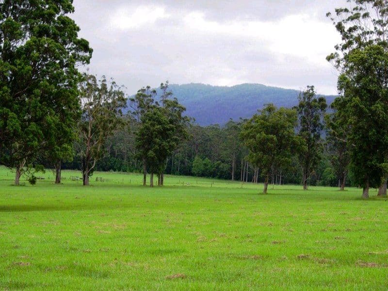 Lot 1, 1041 Bucca Road, CENTRAL BUCCA NSW 2450, Bucca - Image 1