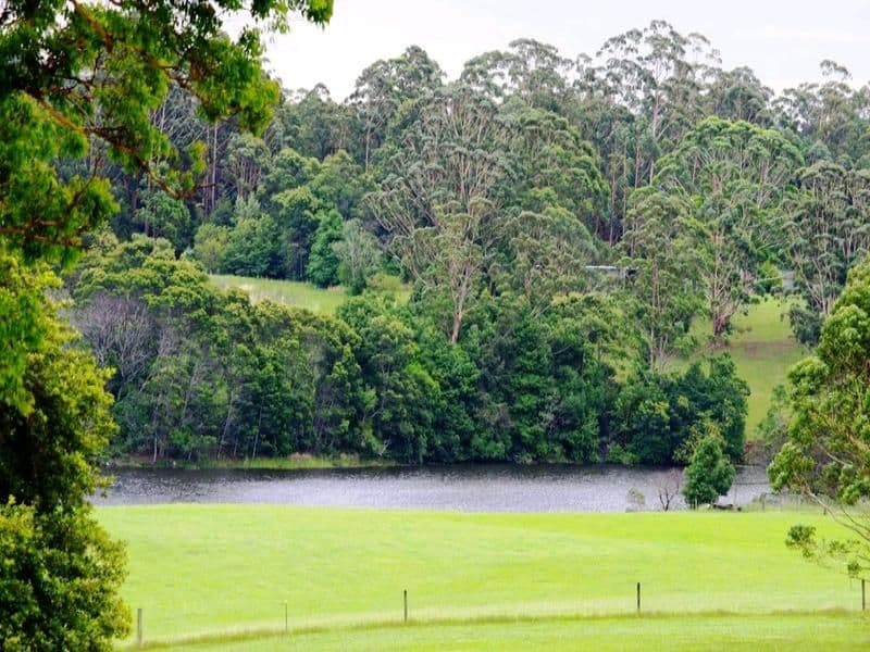 Lot 1, 1041 Bucca Road, CENTRAL BUCCA NSW 2450, Bucca - Thumbnail 2