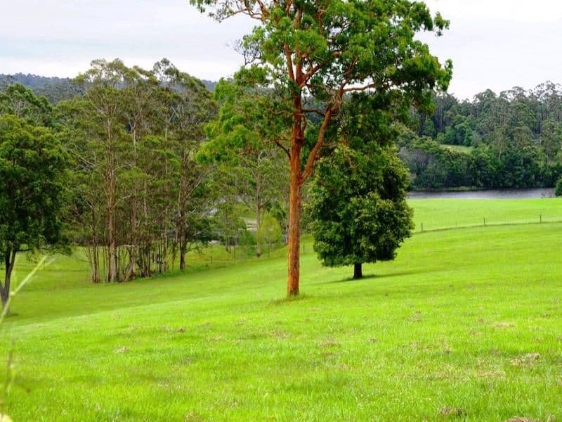 Lot 1, 1041 Bucca Road, CENTRAL BUCCA NSW 2450, Bucca - Thumbnail 3