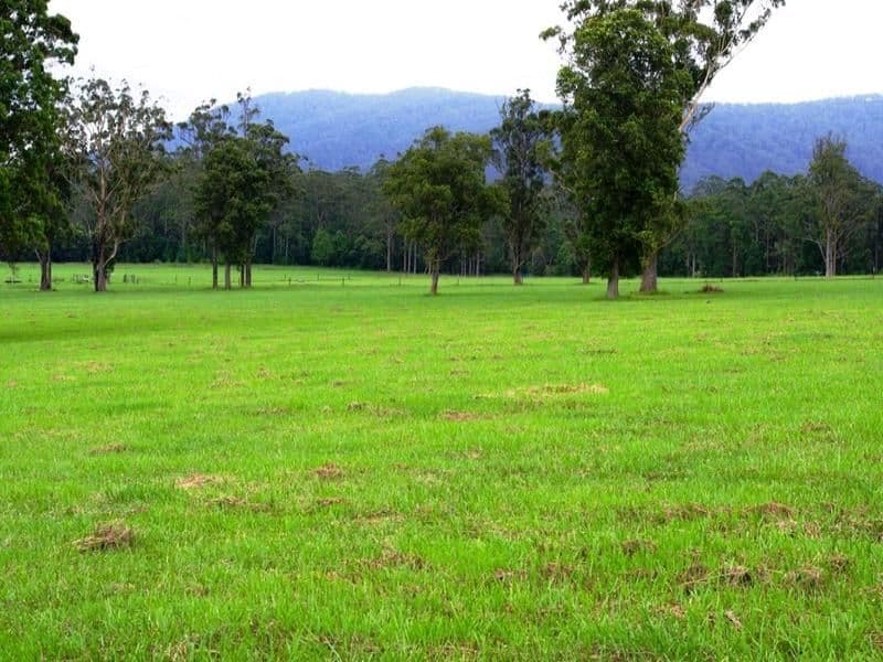 Lot 1, 1041 Bucca Road, CENTRAL BUCCA NSW 2450, Bucca - Thumbnail 5