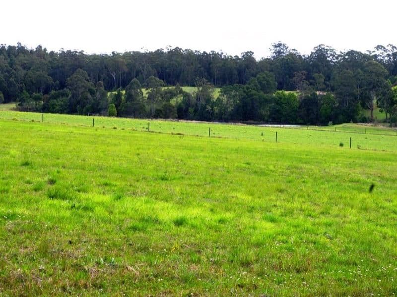 Lot 1, 1041 Bucca Road, CENTRAL BUCCA NSW 2450, Bucca - Thumbnail 6