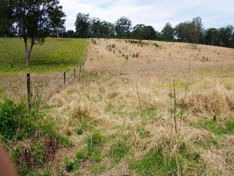 Lot 1, 1041 Bucca Road, CENTRAL BUCCA NSW 2450, Bucca - Thumbnail 7