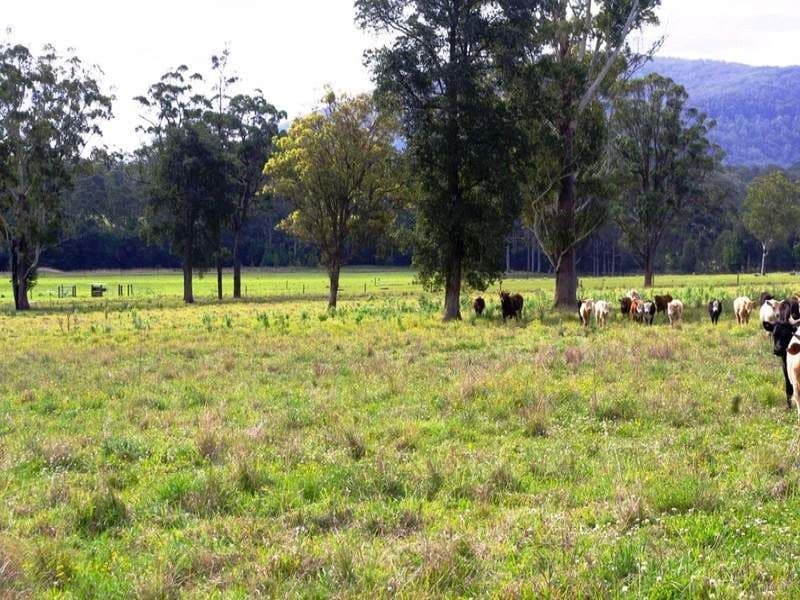 Lot 1, 1041 Bucca Road, CENTRAL BUCCA NSW 2450, Bucca - Thumbnail 8