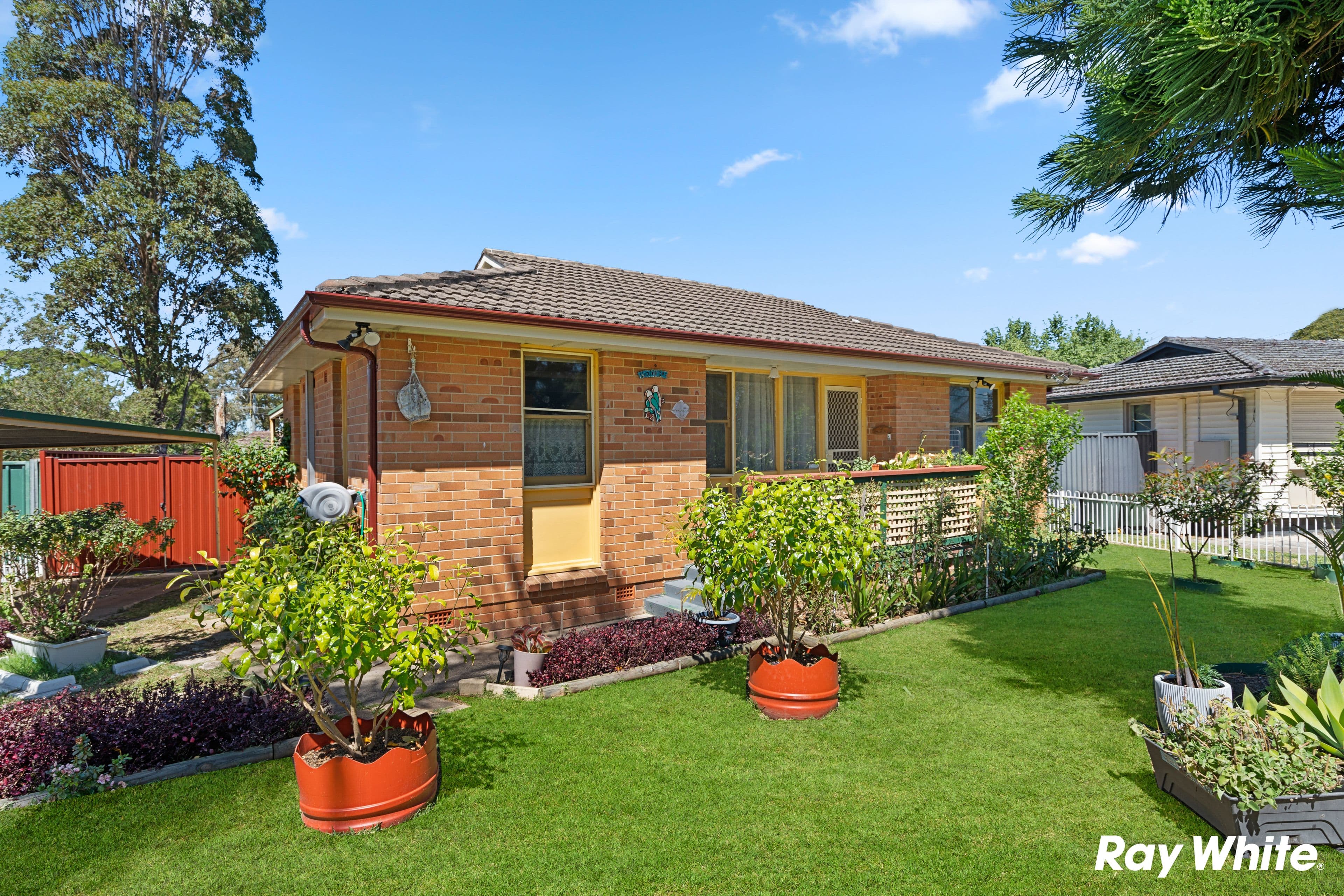19 Stolle Street, Shalvey NSW 2770, Shalvey - Thumbnail 2