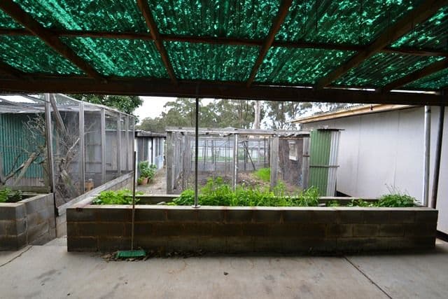 211 Anzac Avenue, SEYMOUR VIC 3660, Seymour - Thumbnail 2