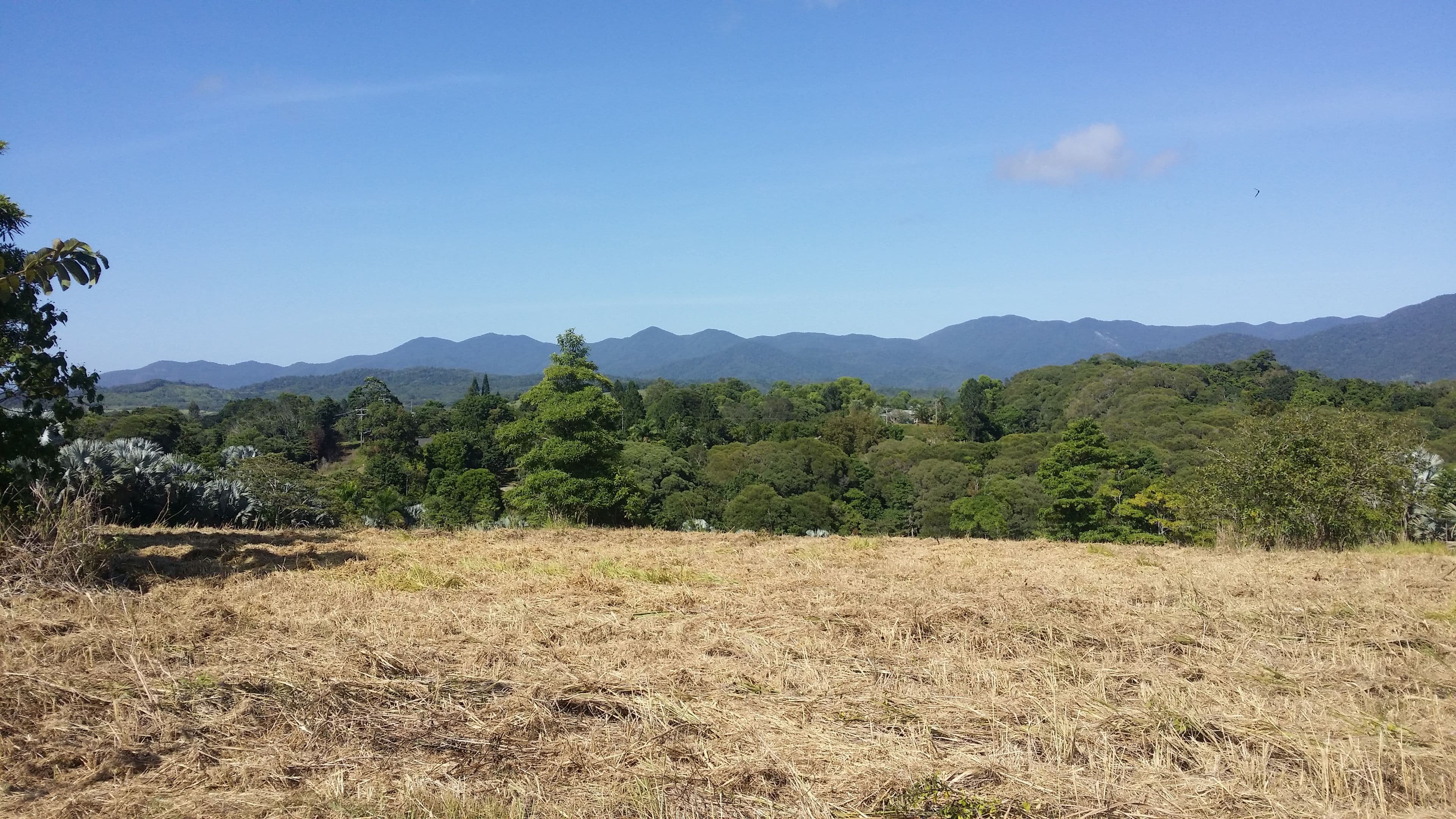 Lot 40 Salisbury Drive, Julatten QLD 4871, Julatten - Image 1