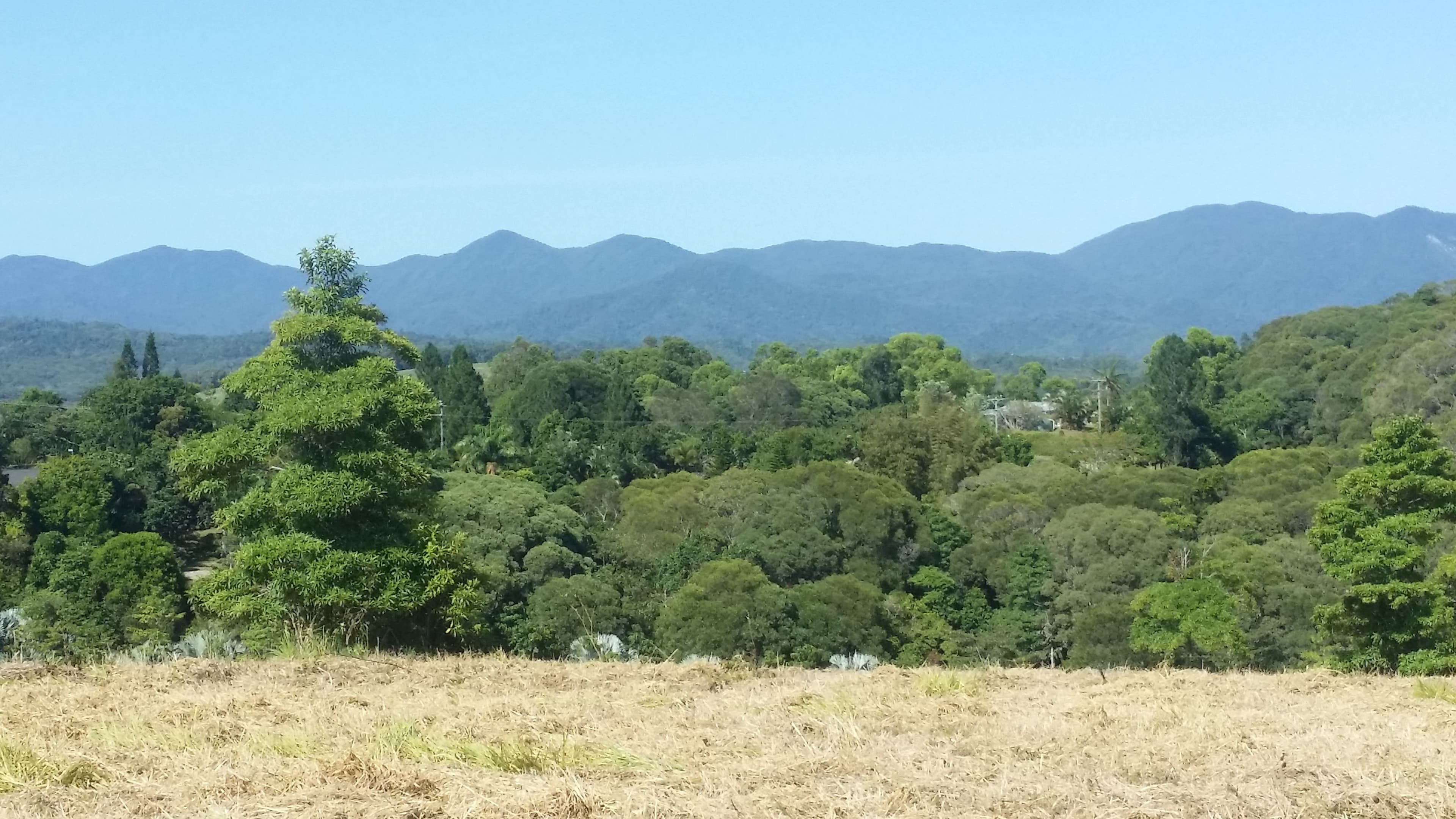Lot 40 Salisbury Drive, Julatten QLD 4871, Julatten - Thumbnail 2