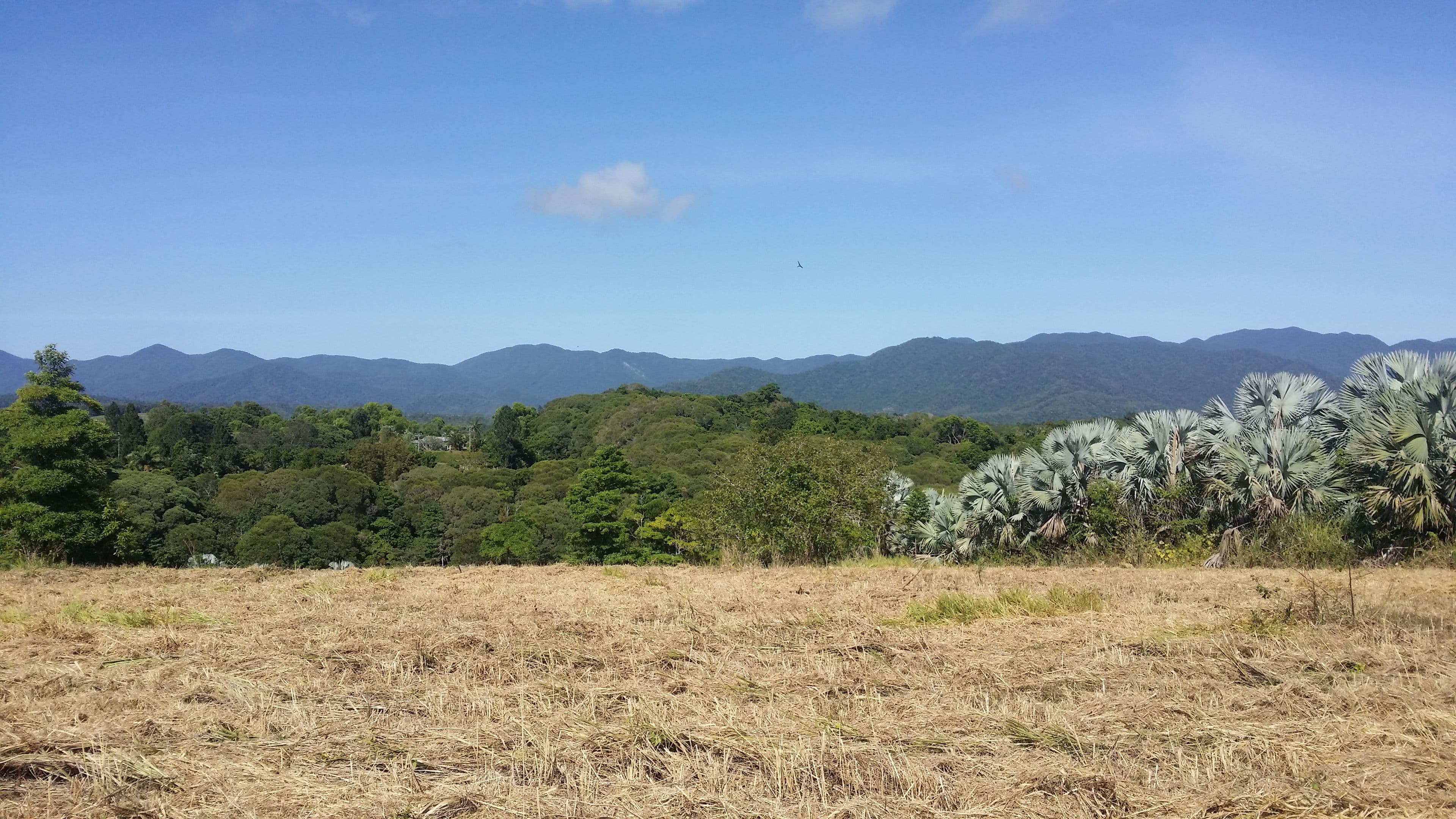 Lot 40 Salisbury Drive, Julatten QLD 4871, Julatten - Thumbnail 3