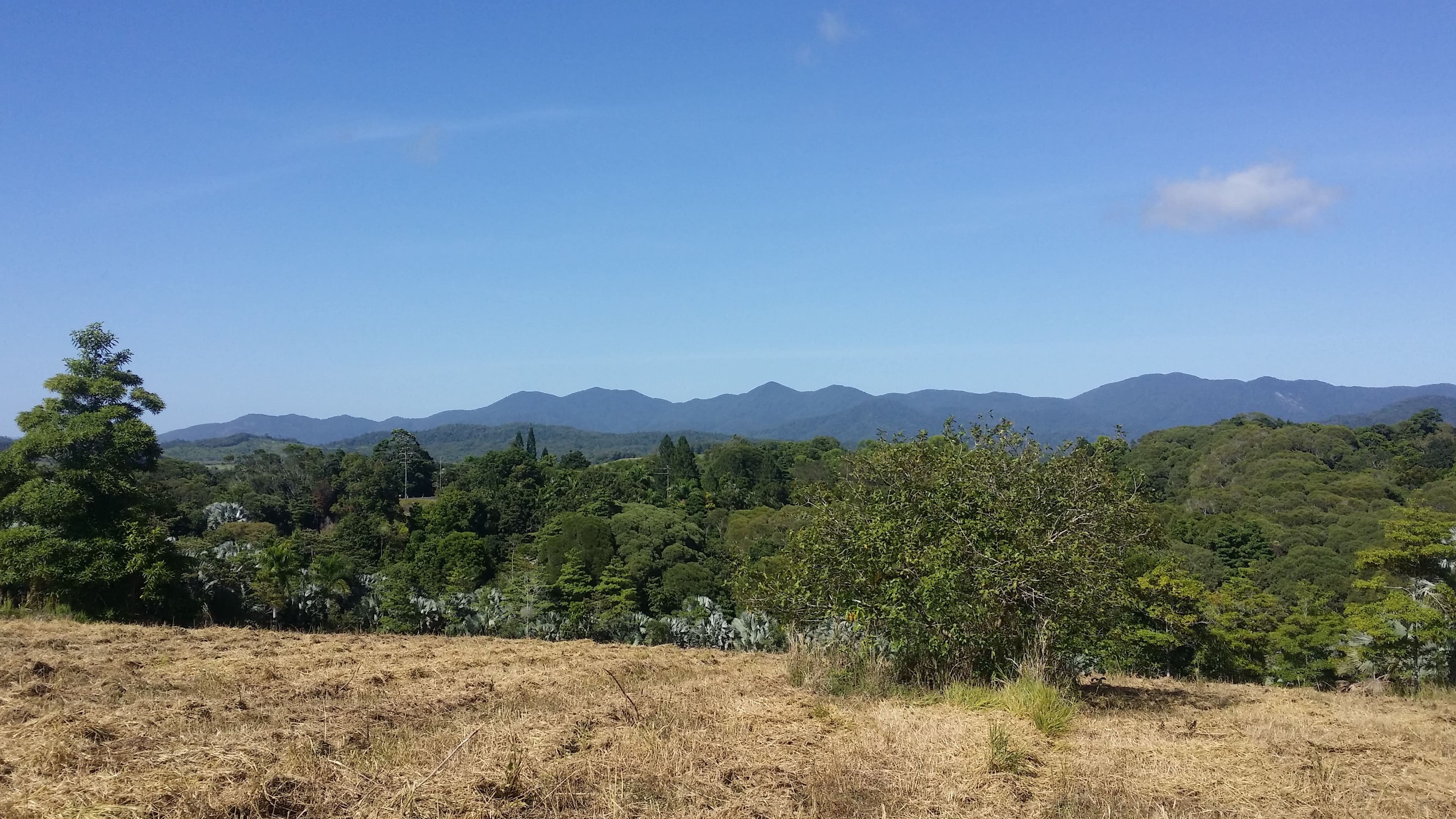 Lot 40 Salisbury Drive, Julatten QLD 4871, Julatten - Thumbnail 5