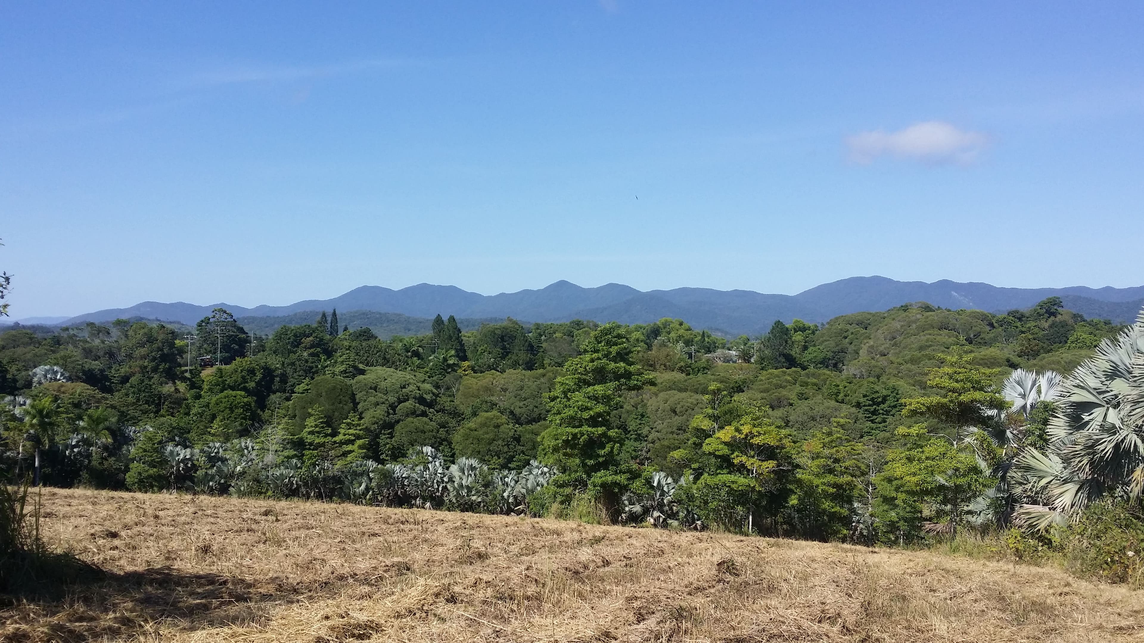 Lot 40 Salisbury Drive, Julatten QLD 4871, Julatten - Thumbnail 6