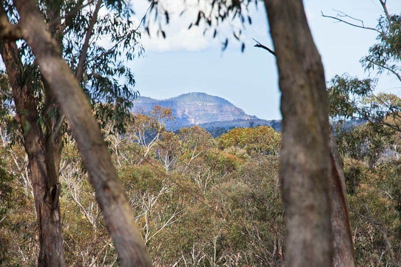 121 Liberty Parade, Bellfield, Bellfield - Thumbnail 2