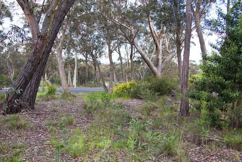 121 Liberty Parade, Bellfield, Bellfield - Thumbnail 3