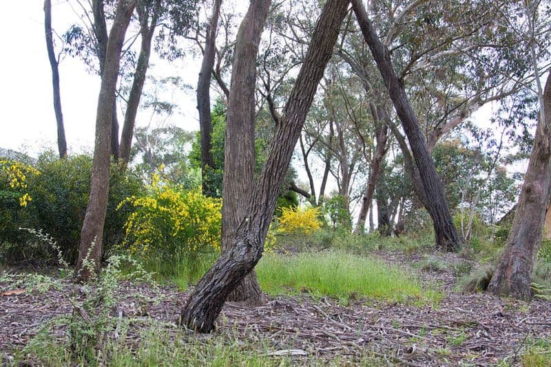 121 Liberty Parade, Bellfield, Bellfield - Thumbnail 6