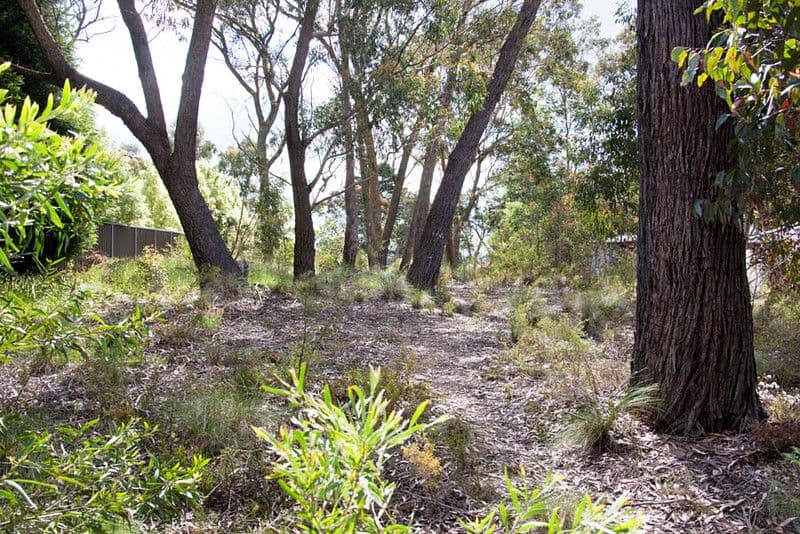 121 Liberty Parade, Bellfield, Bellfield - Thumbnail 7