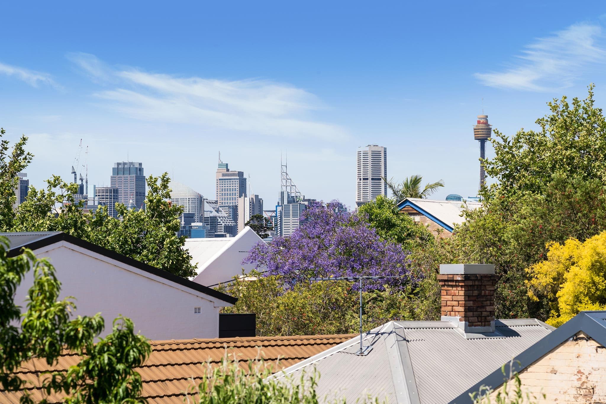 87 View Street, Annandale - Thumbnail 4