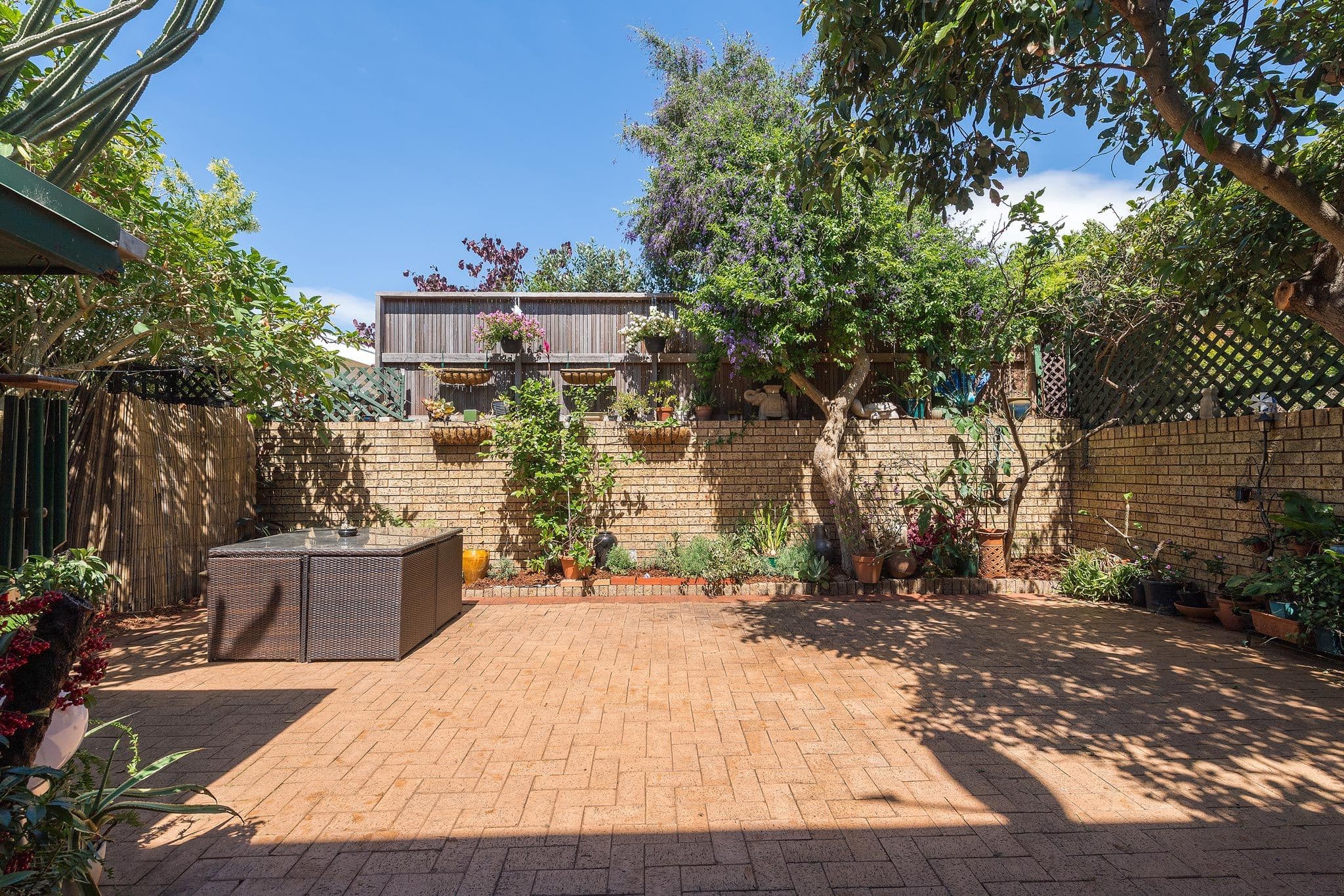 87 View Street, Annandale - Thumbnail 8