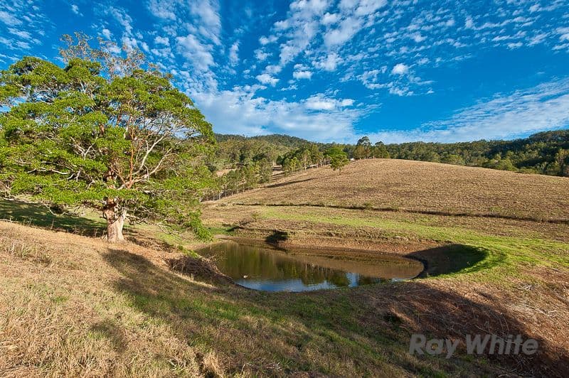 52 Macadamia Drive, Laceys Creek QLD 4521, Laceys Creek - Thumbnail 5
