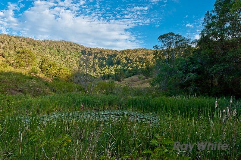 52 Macadamia Drive, Laceys Creek QLD 4521, Laceys Creek - Thumbnail 7
