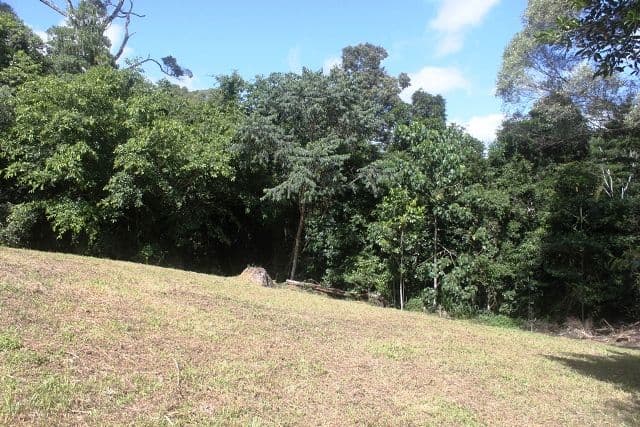 18 Platypus Close, Kuranda QLD 4881, Kuranda - Thumbnail 4