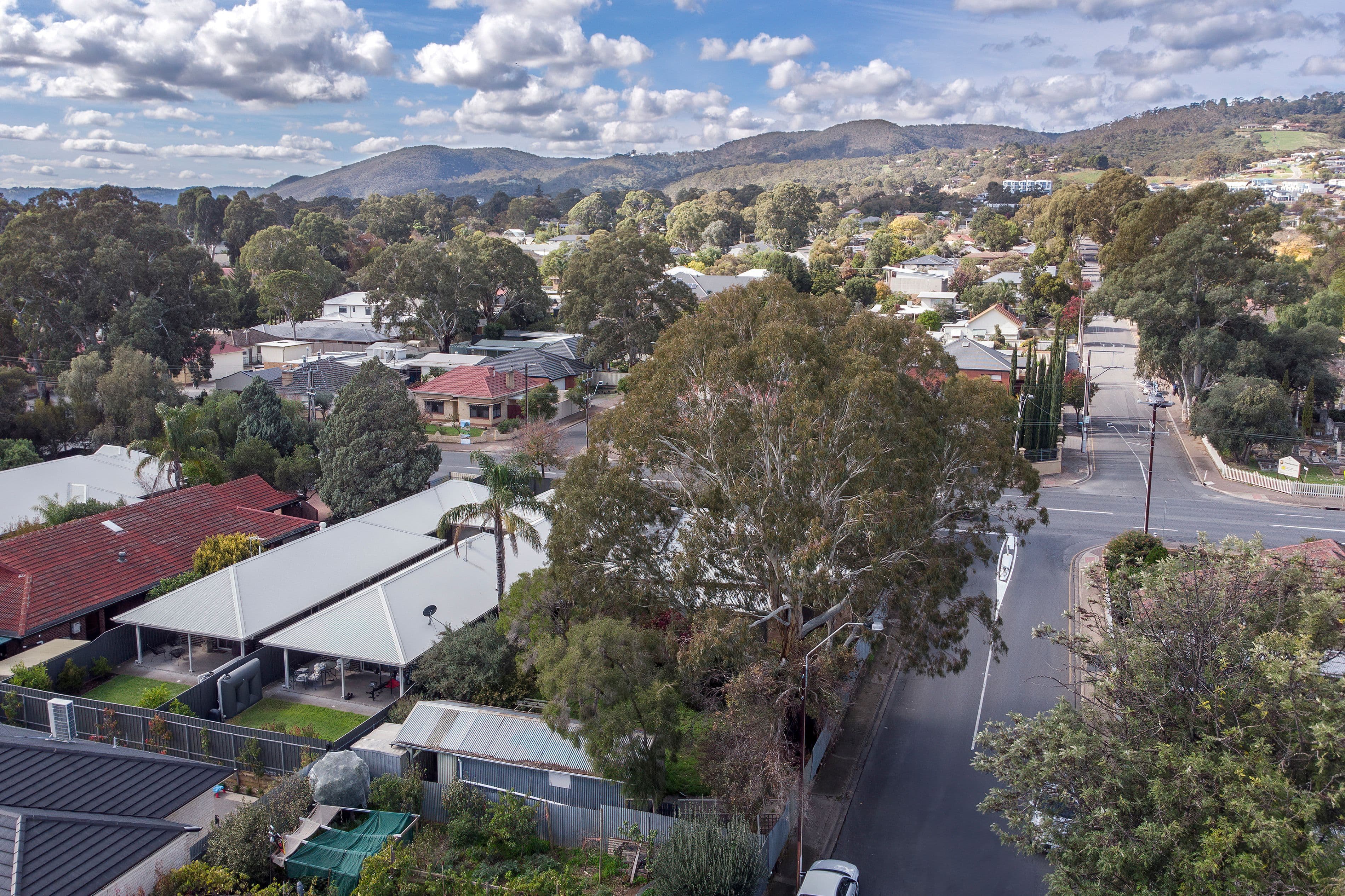 56 St Bernards Road, Magill SA 5072, Magill - Thumbnail 3