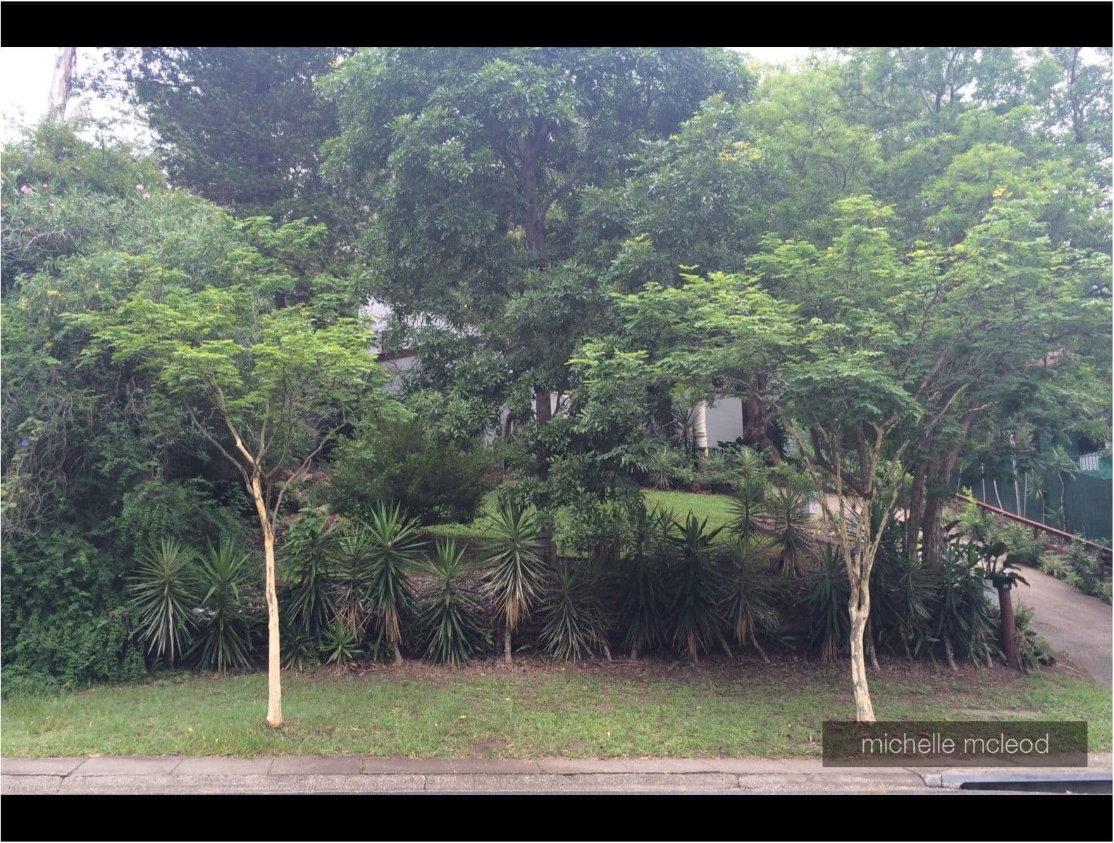 181 Burbong Street, Chapel Hill QLD 4069, Chapel Hill - Thumbnail 7