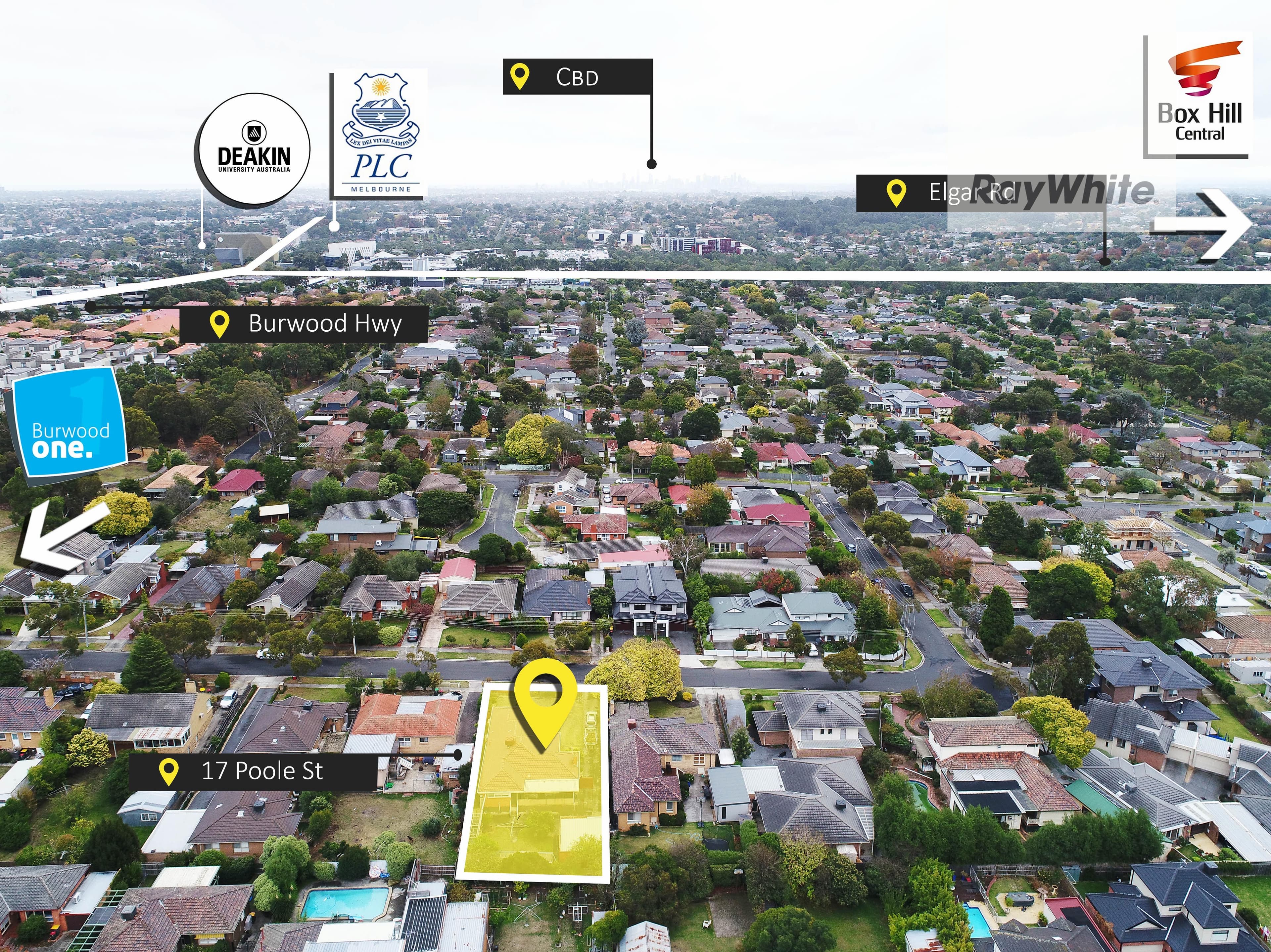 17 Poole Street, Burwood VIC 3125, Burwood - Thumbnail 2