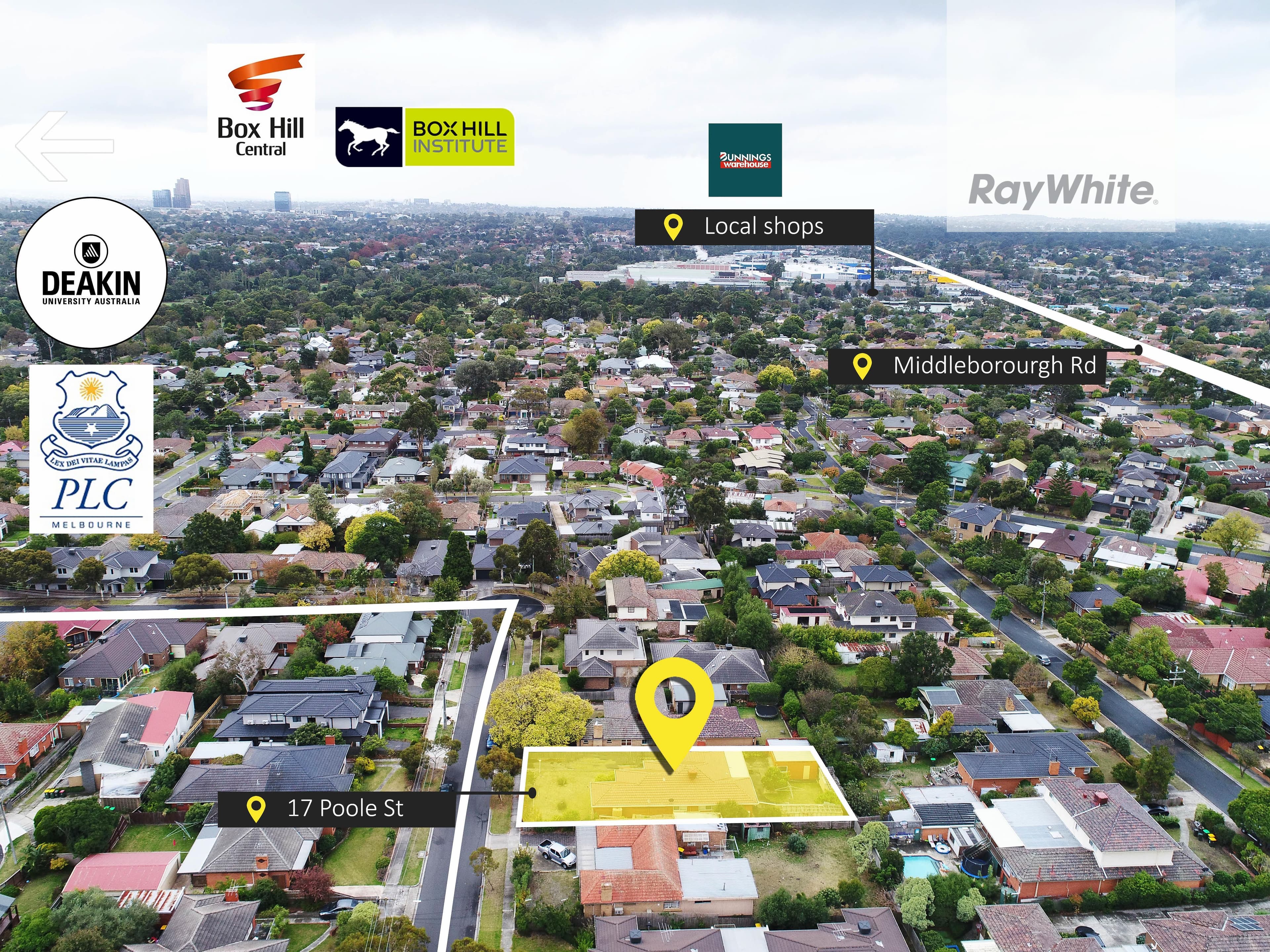 17 Poole Street, Burwood VIC 3125, Burwood - Thumbnail 3