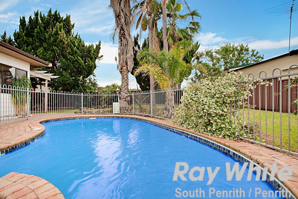 84 Fragar Road, South Penrith NSW 2750, South Penrith - Thumbnail 8