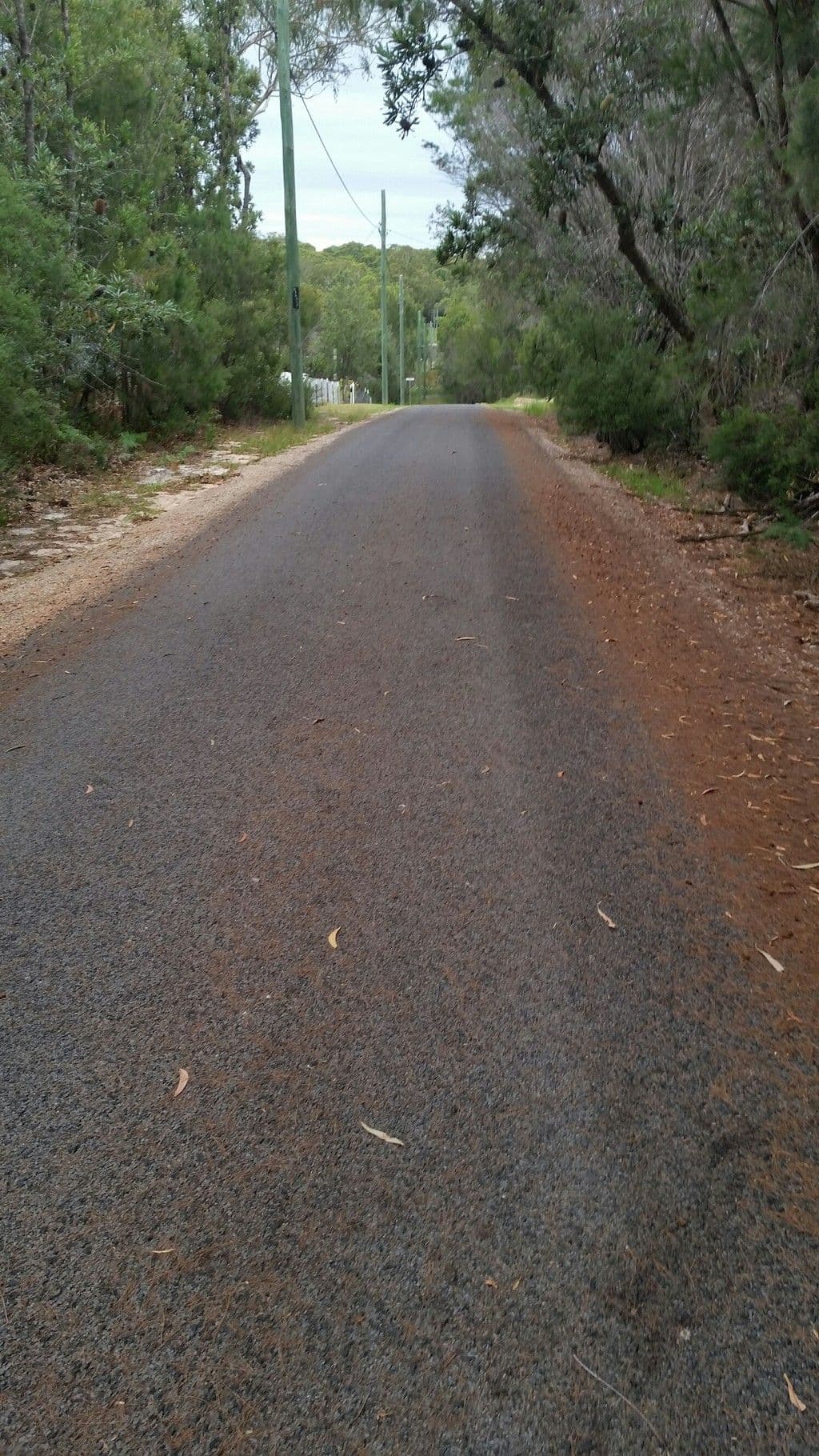 37 Cowderoy Drive, Russell Island QLD 4184, Russell Island - Thumbnail 3