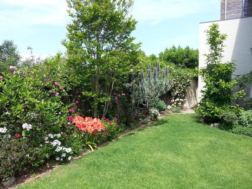 52 Perentie Road, Belrose - Thumbnail 7