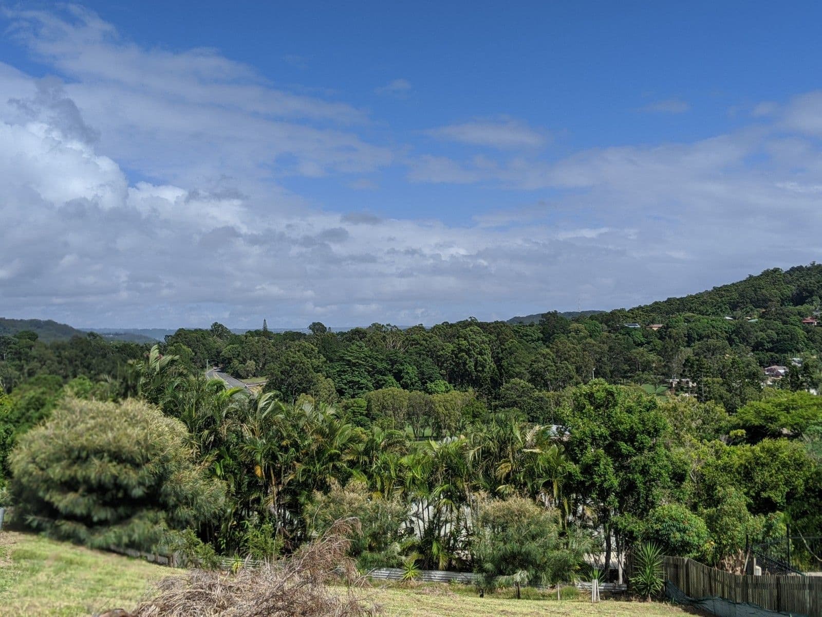 116 Willis Road, Bli Bli QLD 4560, Bli Bli - Image 1