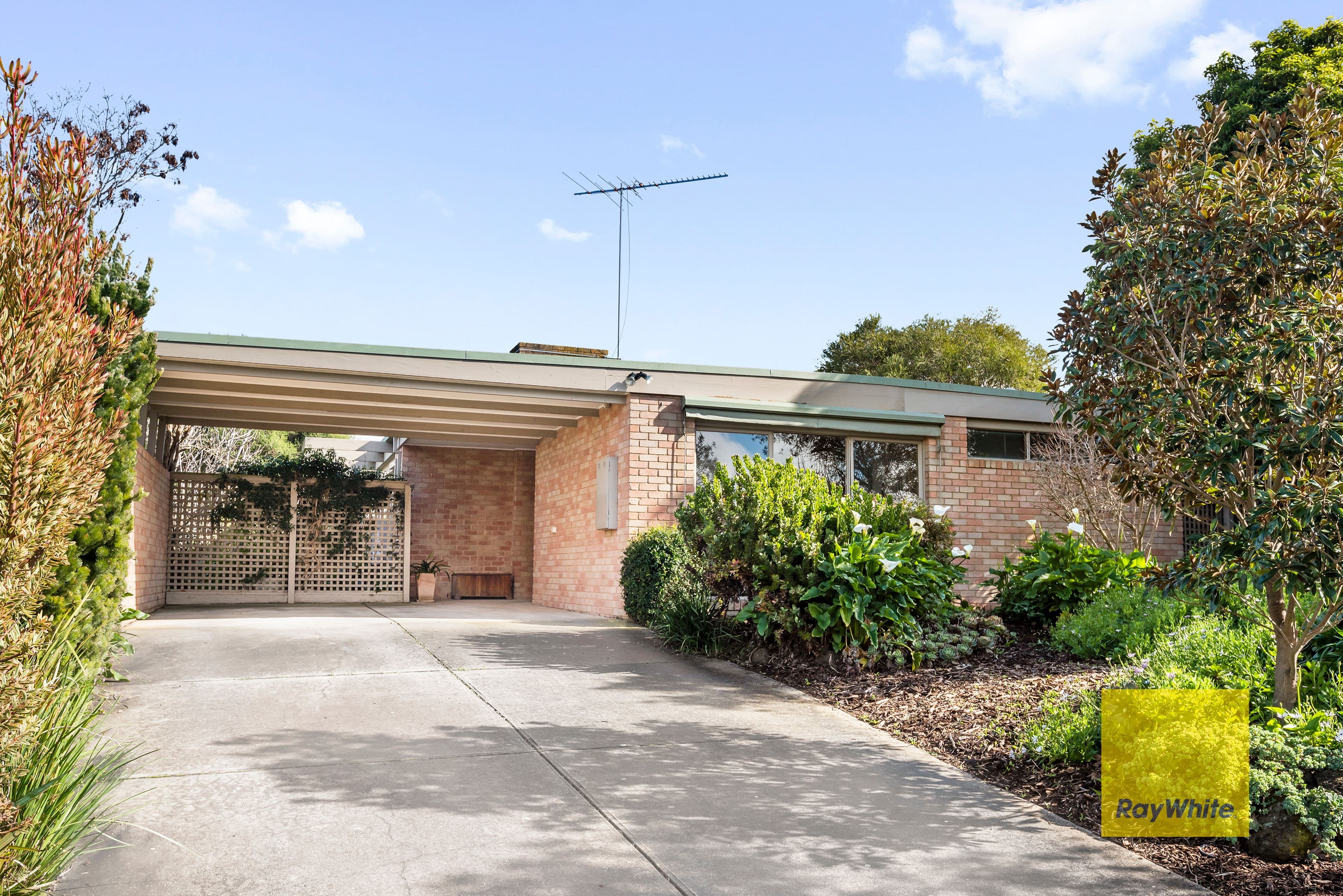 8 Triumph Court, Highton VIC 3216, Highton - Image 1
