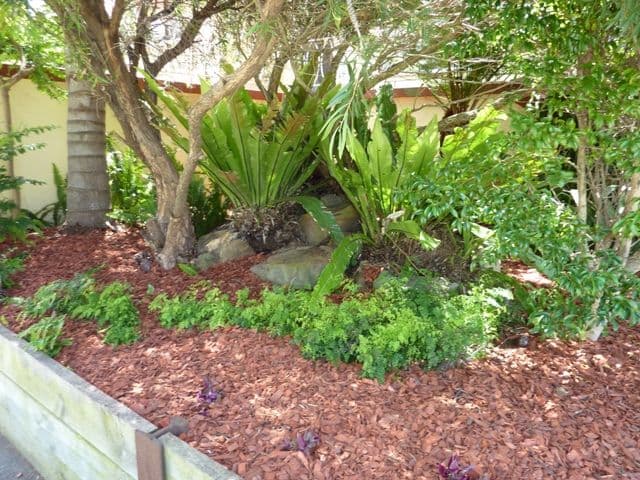 9 Doncaster Street, CORRIMAL NSW 2518, Corrimal - Thumbnail 8