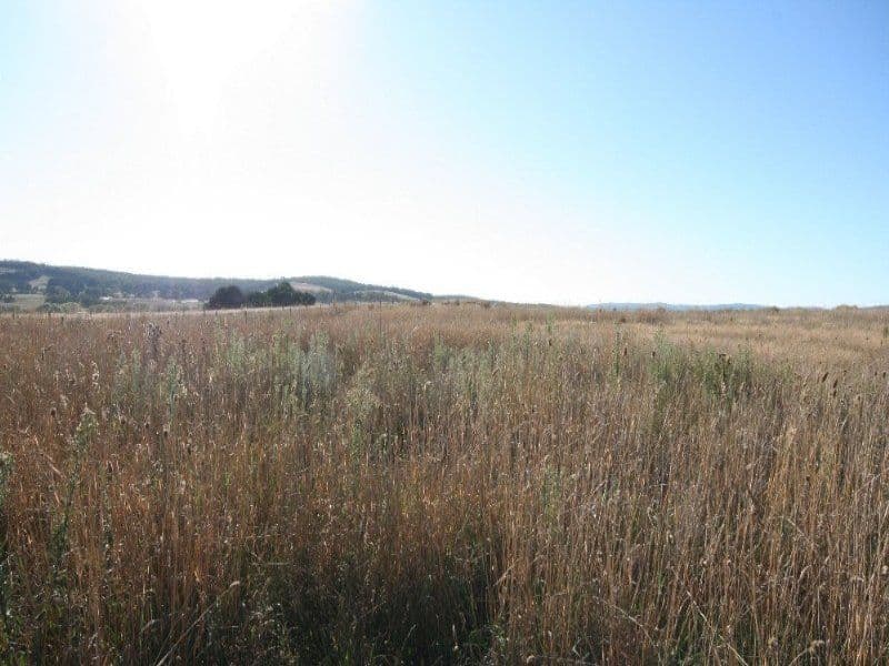 OBERON NSW 2787, Oberon - Image 1