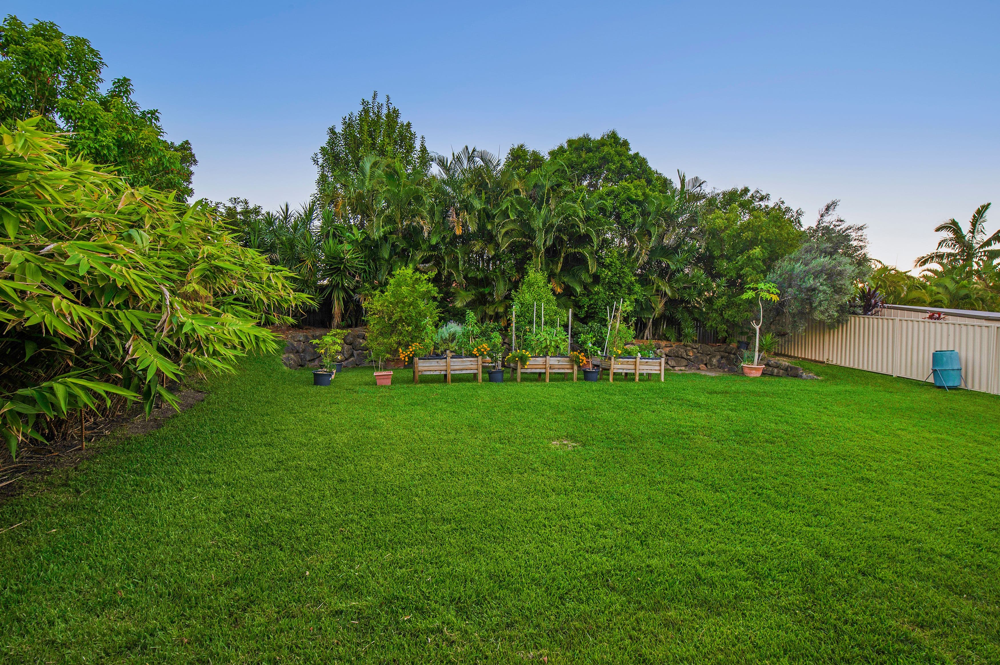20 Nightjar Drive, Upper Coomera QLD 4209, Upper Coomera - Thumbnail 5