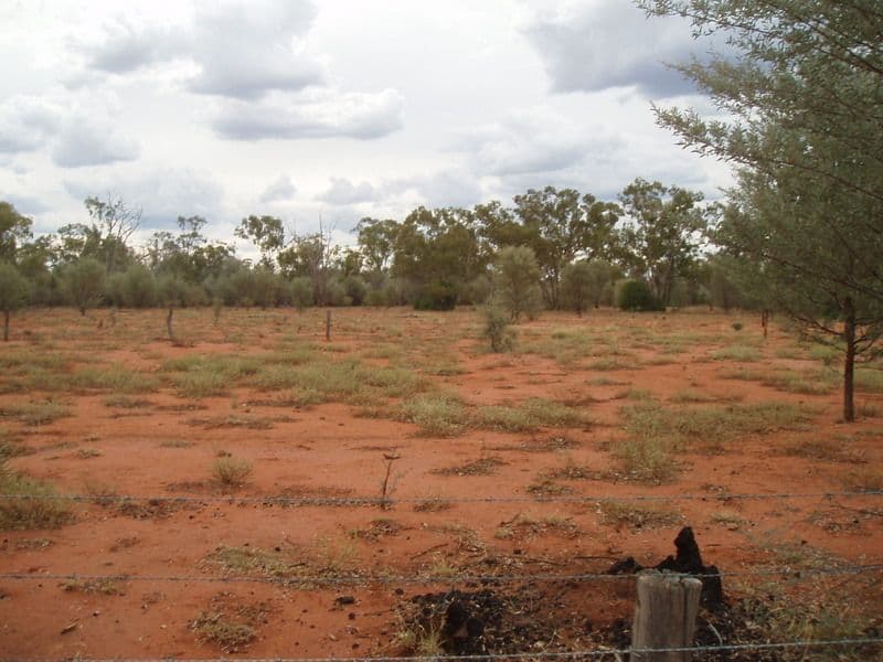 "Glengarry" Wardsdale Road, CHARLEVILLE QLD 4470, Charleville - Thumbnail 4