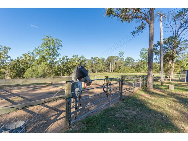 100 Jackson Road, Bellmere QLD 4510, Bellmere - Thumbnail 7