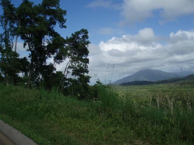 Lot 8 Campbell Tce., SOUTH MISSION QLD 4852, South Mission Beach - Thumbnail 7