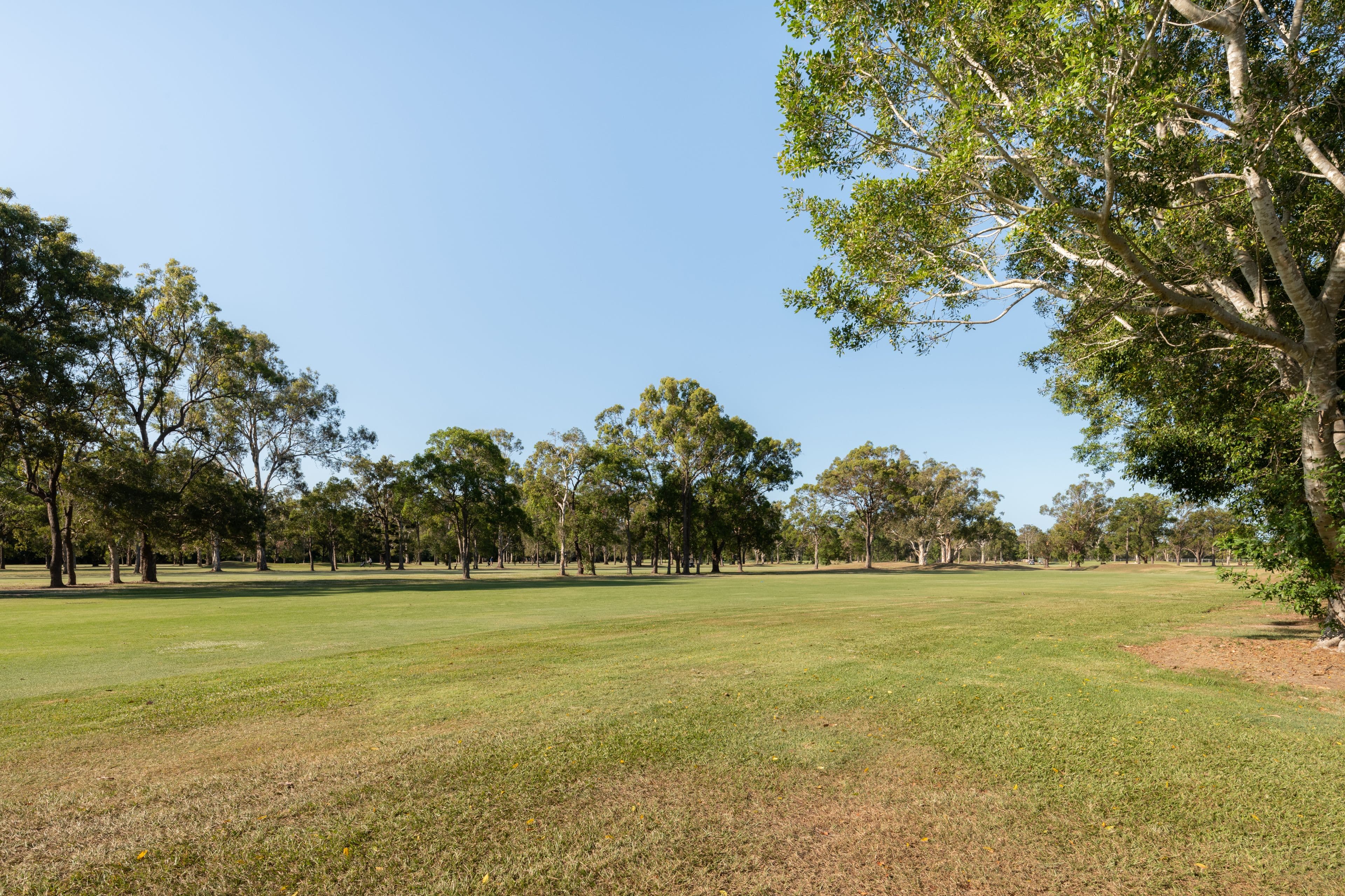 42 Elliott Road, Banyo QLD 4014, Banyo - Thumbnail 4