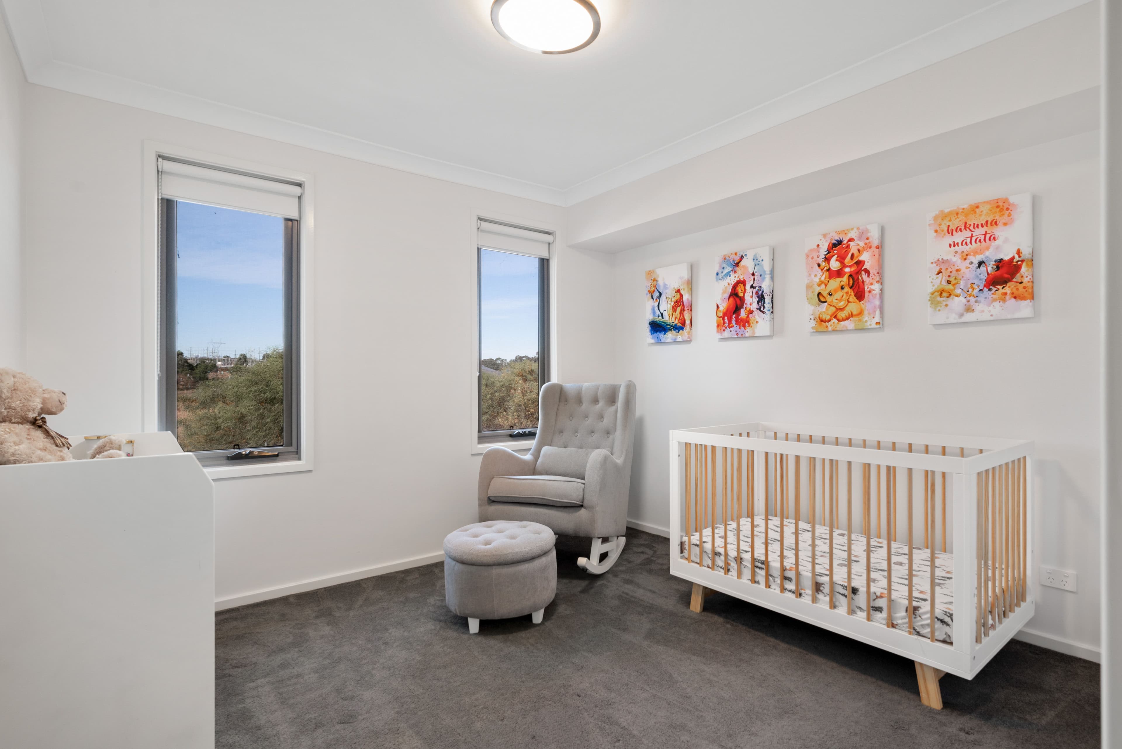 10 Waterglass Street, Spring Farm NSW 2570, Spring Farm - Thumbnail 8