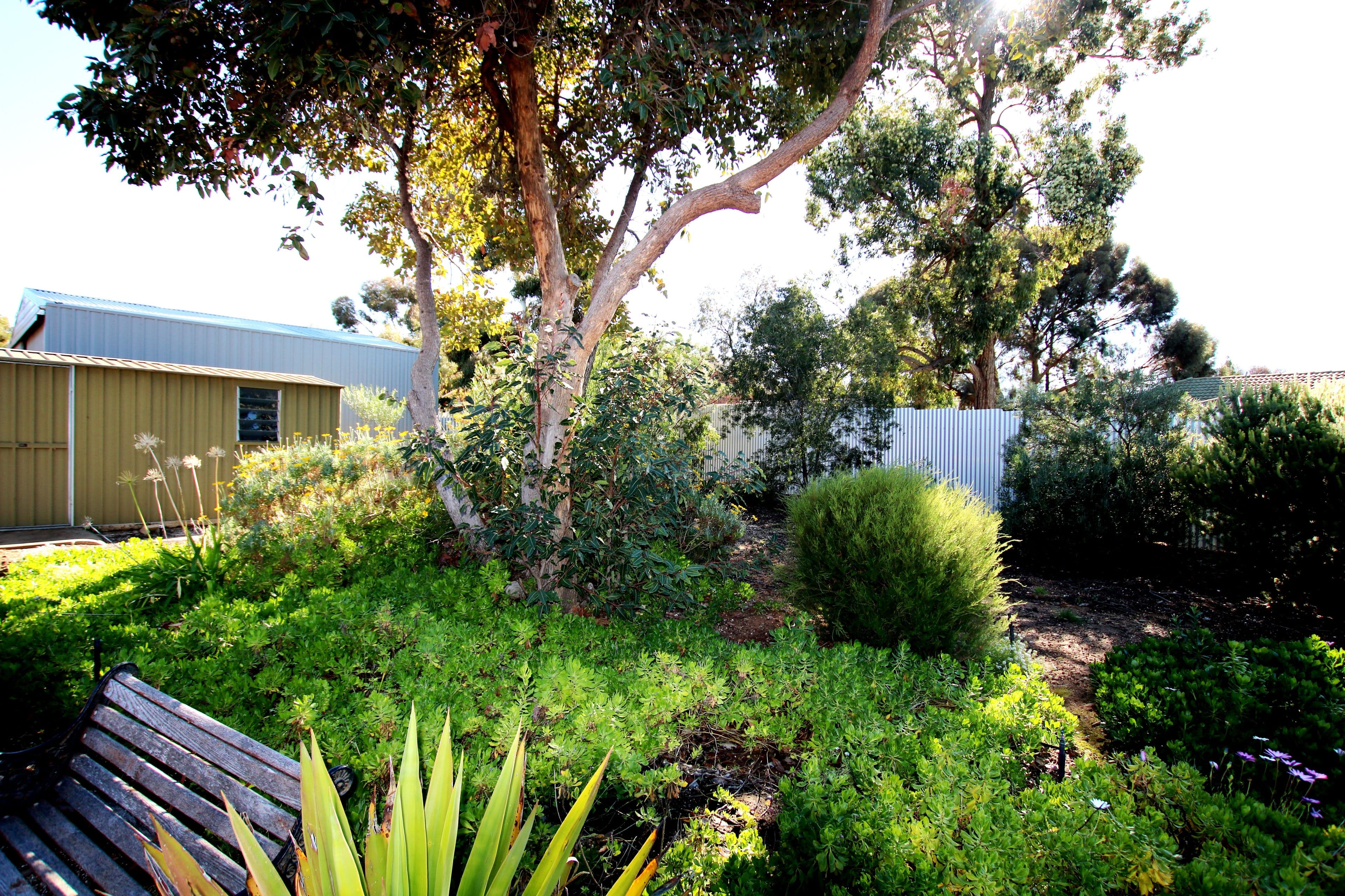 4 Vivian Cock Street, Berri SA 5343, Berri - Thumbnail 8