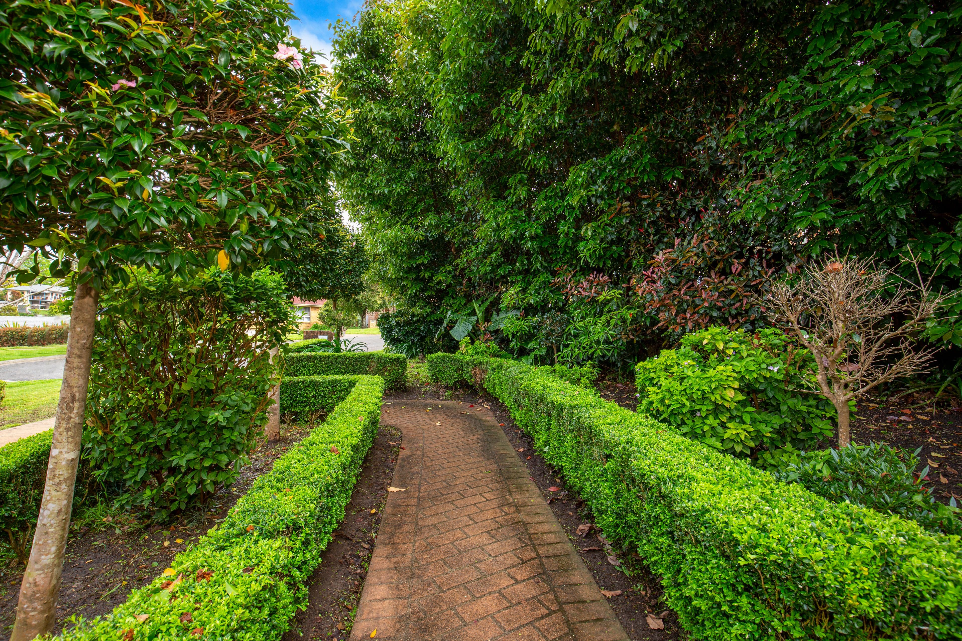 13 Brolga Place, Cambewarra Village NSW 2540, Cambewarra Village - Thumbnail 2