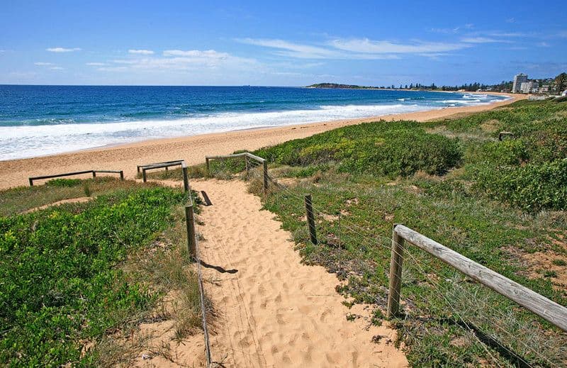 18 Ocean Street, NARRABEEN NSW 2101, Narrabeen - Thumbnail 4