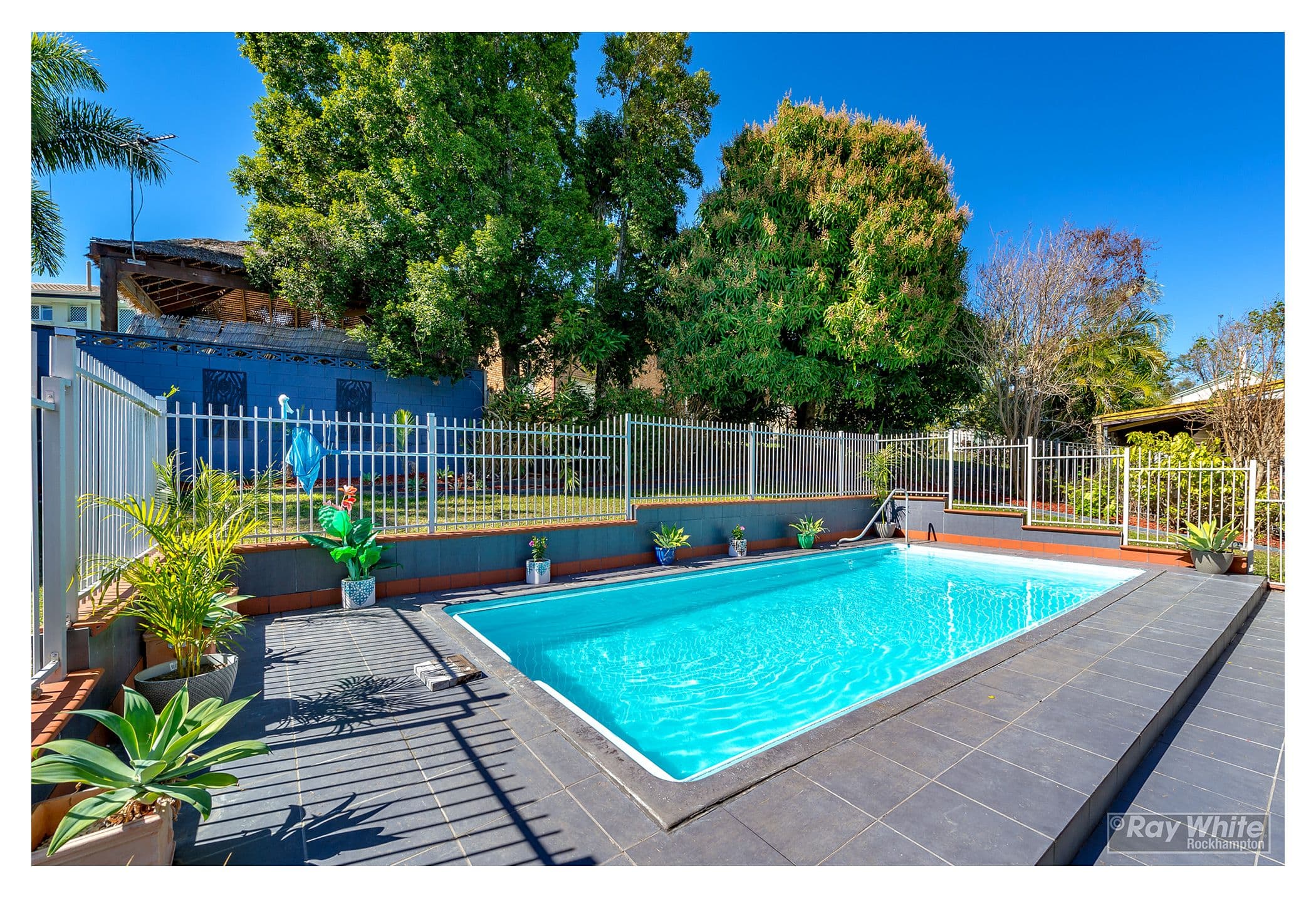 366 Fenlon Avenue, Frenchville QLD 4701, Frenchville - Thumbnail 5