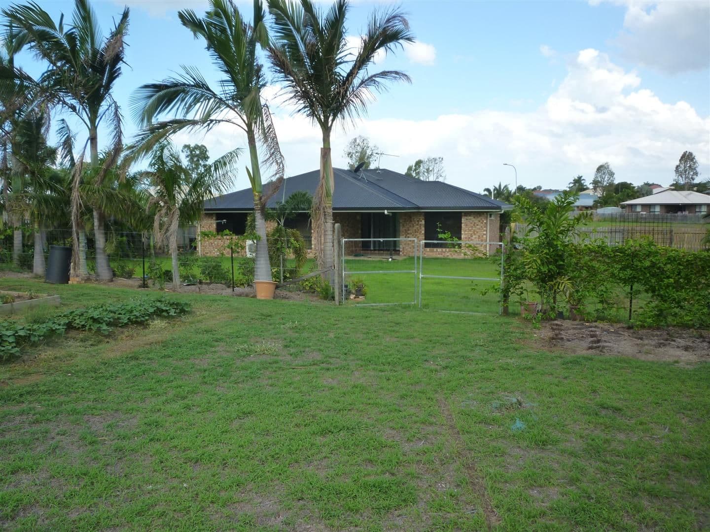 44 Donovan Crescent, Gracemere QLD 4702, Gracemere - Thumbnail 4