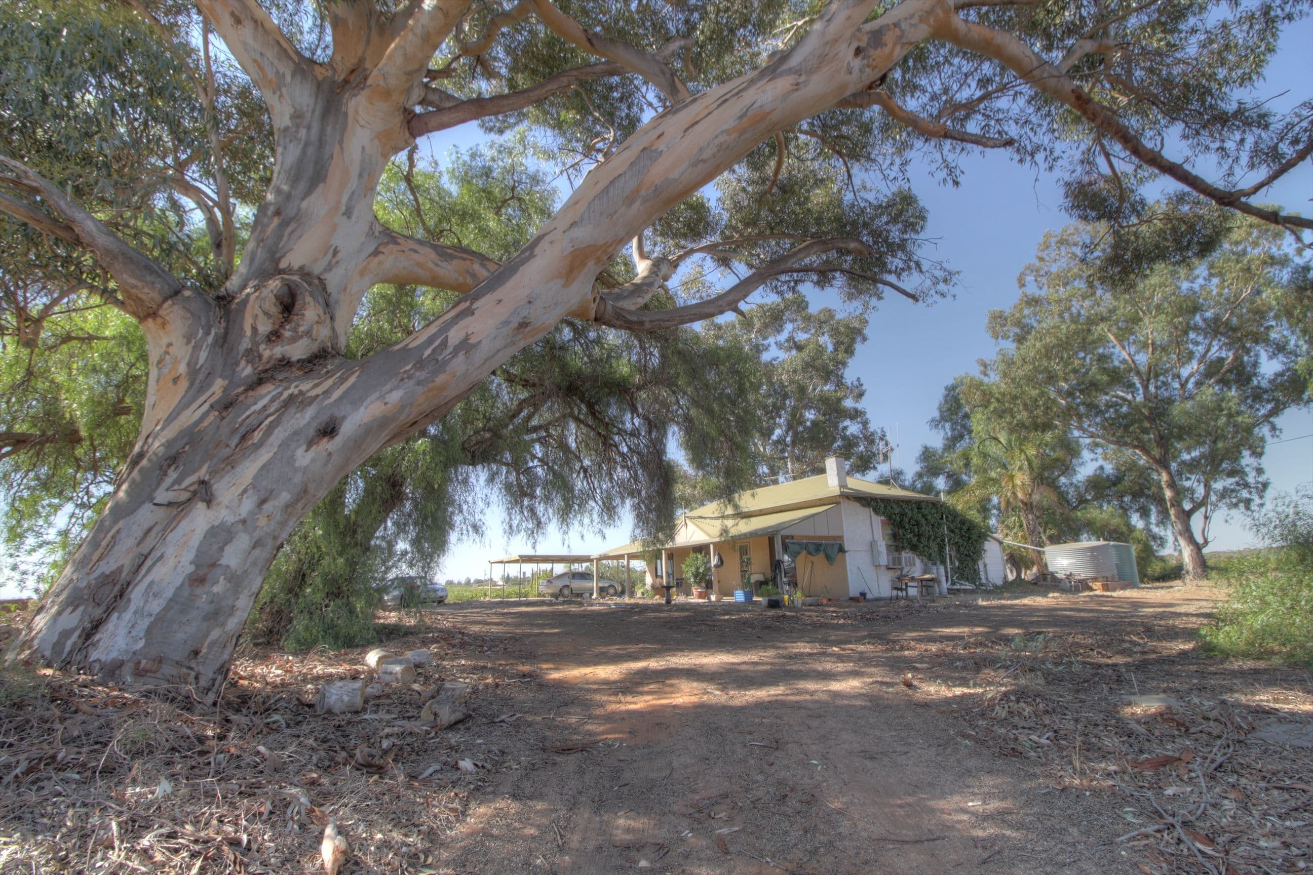 273 Puddletown Road, Winkie SA 5343, Winkie - Thumbnail 2