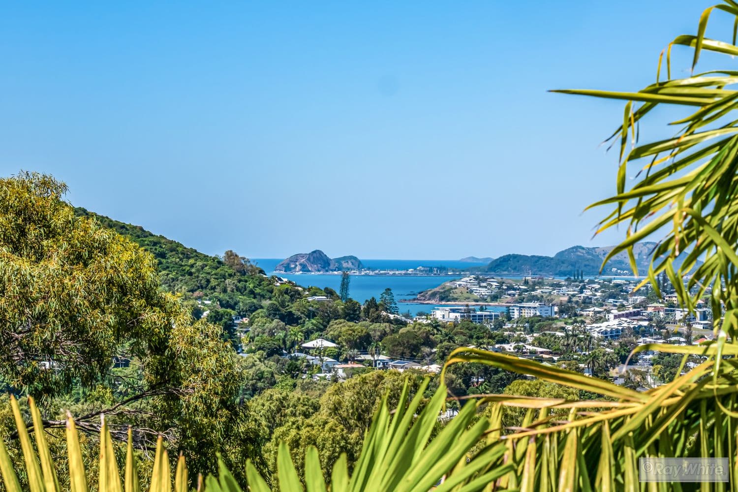 43 Eden Way, Yeppoon QLD 4703, Yeppoon - Thumbnail 2