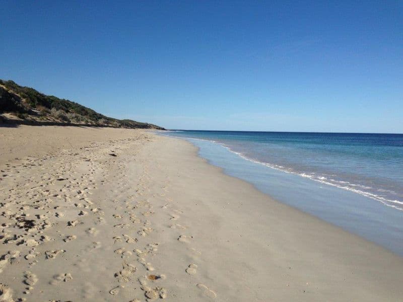 1 Dotterel Street, Marion Bay SA 5575, Marion Bay - Thumbnail 2