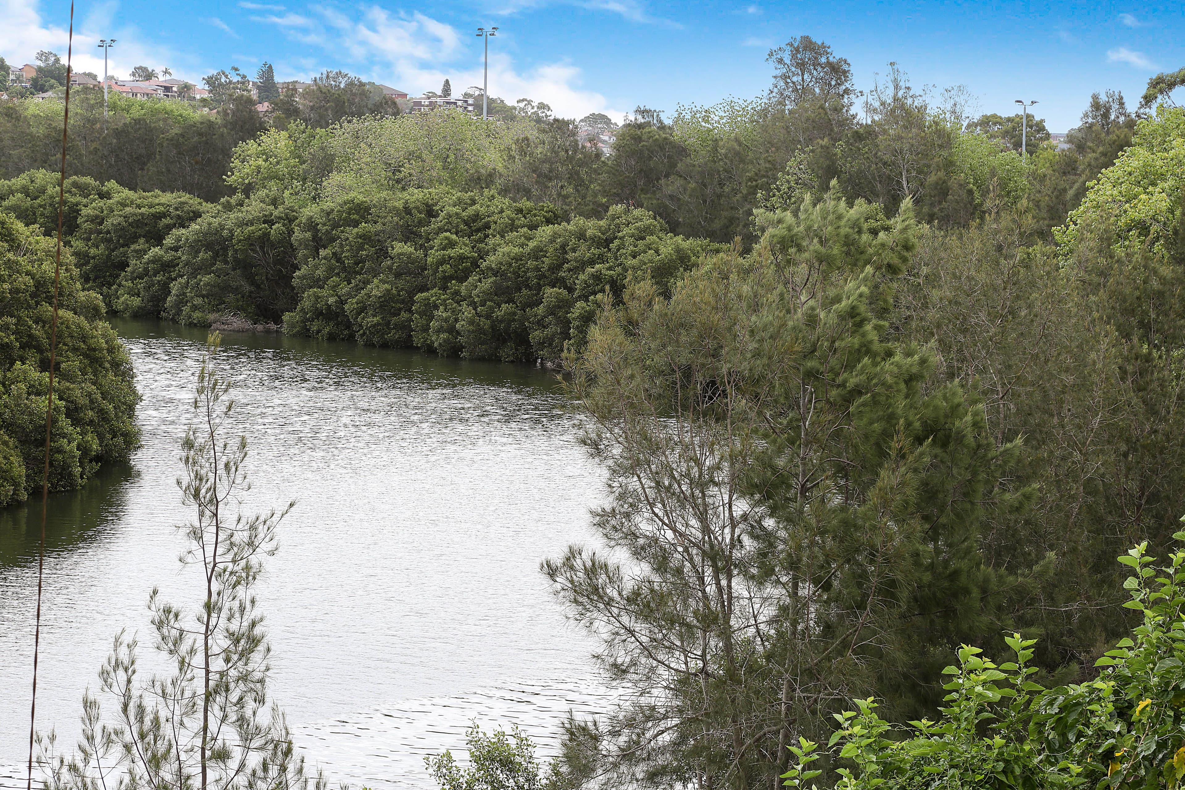 58 Thornley Street, Marrickville - Thumbnail 2